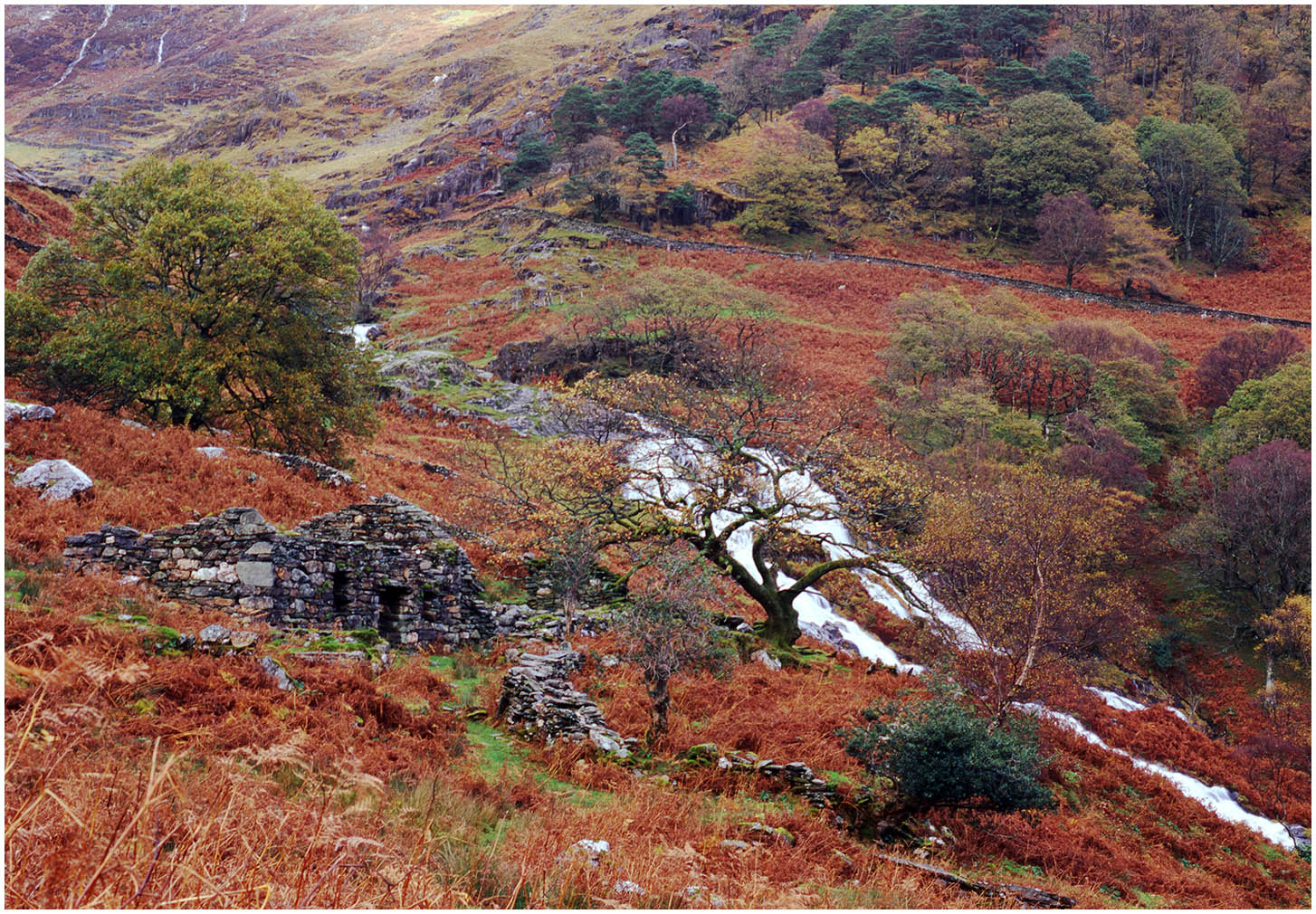 Snowdonia with a Mamiya RB67